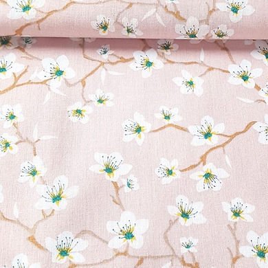 Rose pâle fleurs